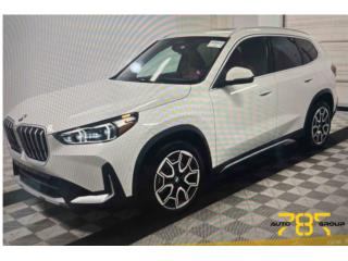787 Auto Group Puerto Rico
