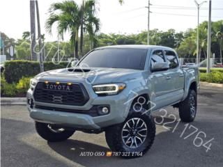 Auto Oso Puerto Rico