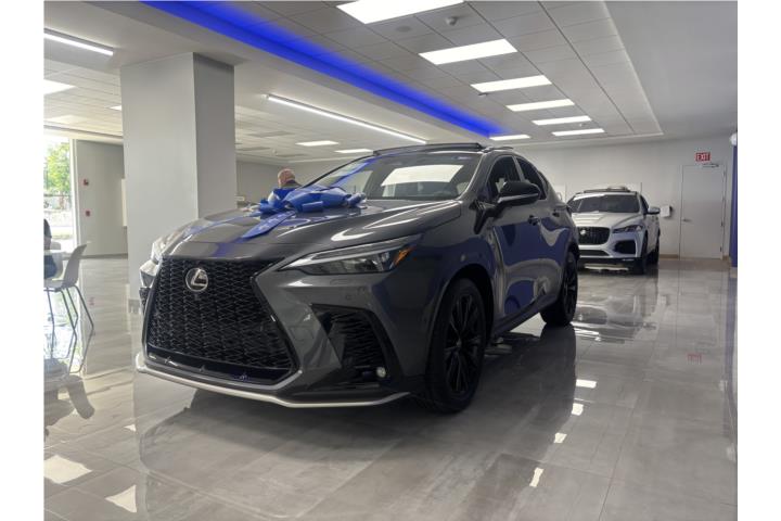 2025 Lexus NX