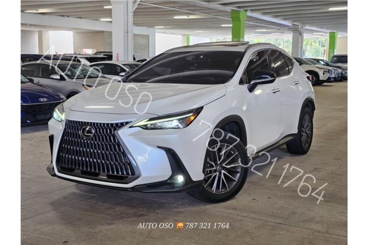 2023 Lexus NX