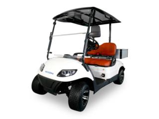 Carritos de Golf Puerto Rico 2025 ICON C20S