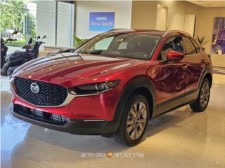 Auto Oso Puerto Rico