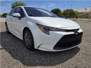 AMI AUTO  Puerto Rico