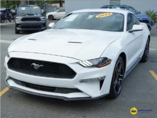Ford Puerto Rico FORD MUSTANG Eco Premium 2022