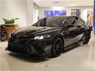 Auto Oso Puerto Rico