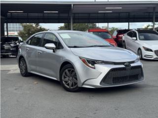 ARACELIS AUTO PARADISE Puerto Rico