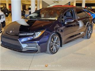 Auto Oso Puerto Rico