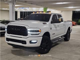 Auto Oso Puerto Rico