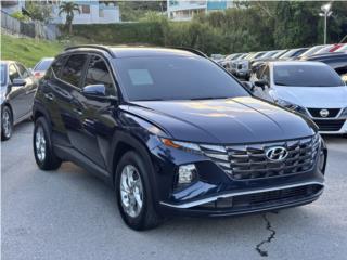Amarilys Torres Auto Puerto Rico