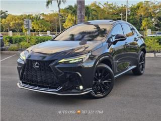 Auto Oso Puerto Rico