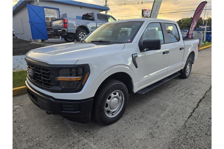 Ford F-150 Working Truck