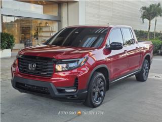 Auto Oso Puerto Rico