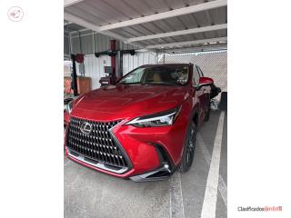 LEXUS PONCE TAINA Puerto Rico