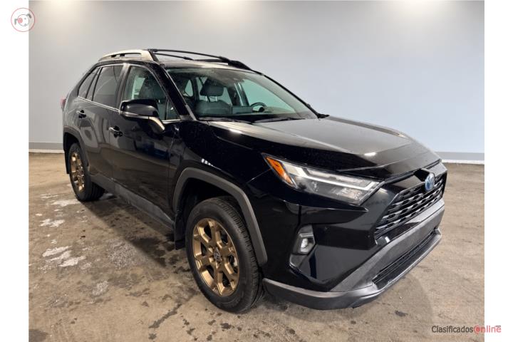 2024 TOYOTA RAV4 HYBRID WOODLAND EDITION