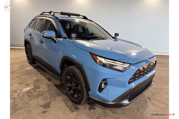 2023 TOYOTA RAV4 XLE
