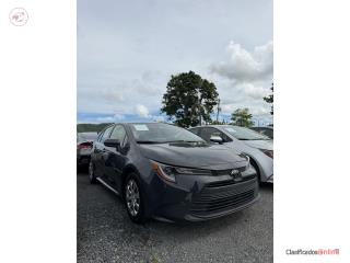 Pagan Auto Puerto Rico