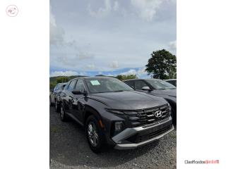 Pagan Auto Puerto Rico
