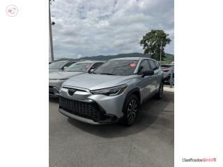 Pagan Auto Puerto Rico