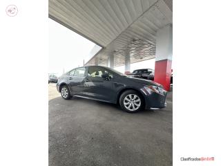 Auto Nautica Puerto Rico
