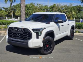 Auto Oso Puerto Rico