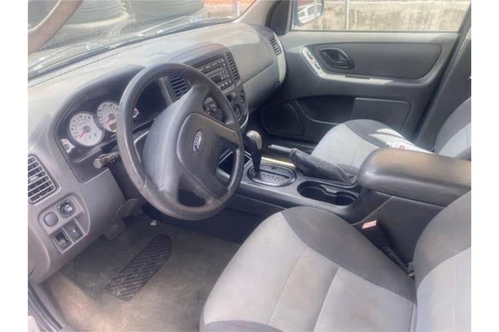 Photo 5