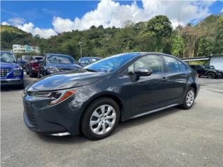 Lourdes Pacheco Autos Puerto Rico