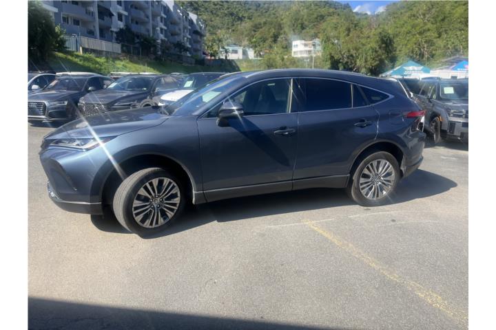 Venza XLE Hybrid