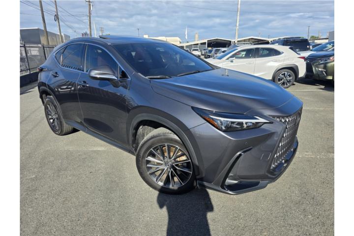 Lexus Lexus NX del 2024