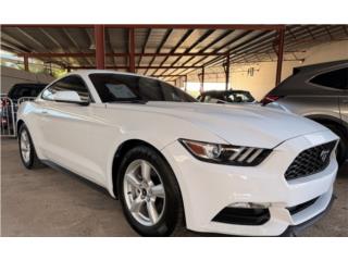 Ginés Auto Puerto Rico