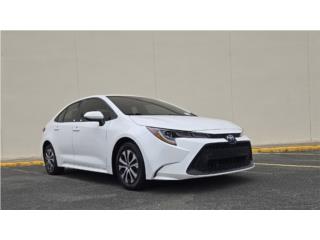 Ginés Auto Puerto Rico