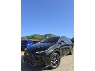 Botes Lexus Puerto Rico