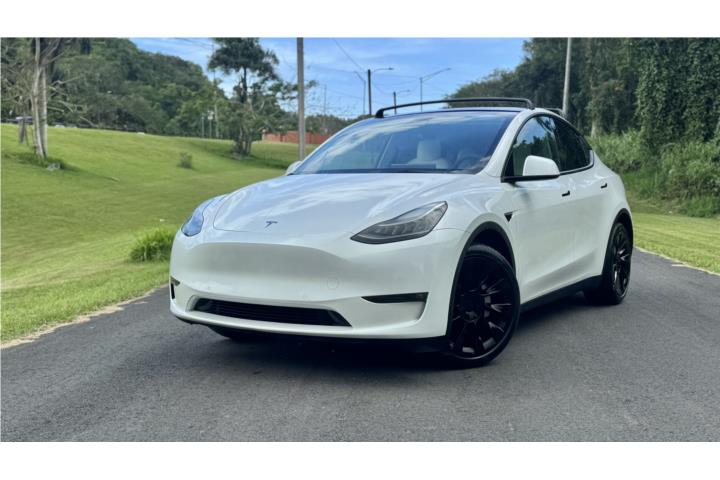 Tesla Long Range Model Y Dual Motor 2021