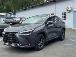 Angeliane Car Sales Consultant Puerto Rico