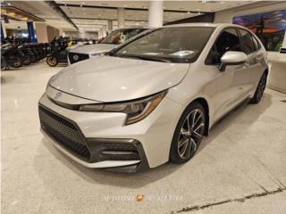 Auto Oso Puerto Rico