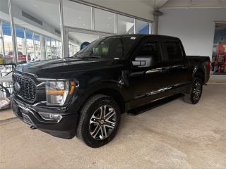 Ford del Norte Usados Puerto Rico