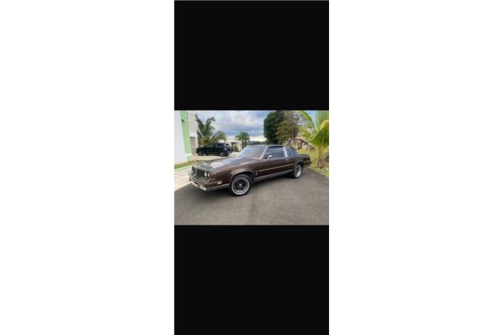 1981  OLDSMOBILE