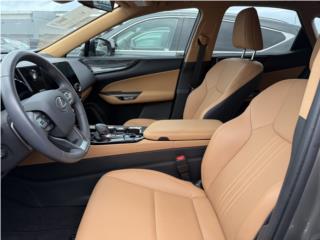 G.O. Premium auto del Norte Puerto Rico