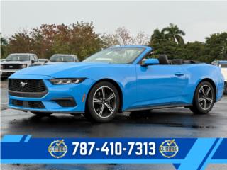 Really Auto Sales Puerto Rico
