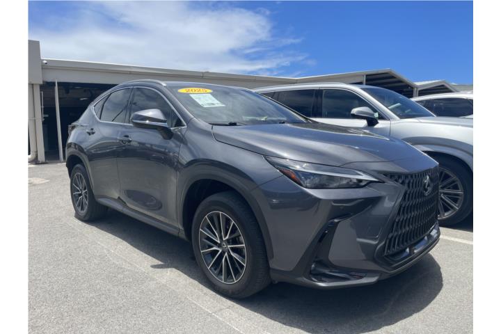 Lexus NX250 2025 CPO