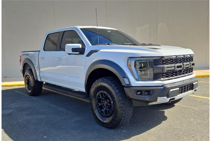 Raptor 37