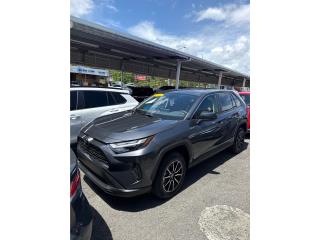 Derek Burgos Puerto Rico