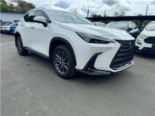 Angeliane Car Sales Consultant Puerto Rico