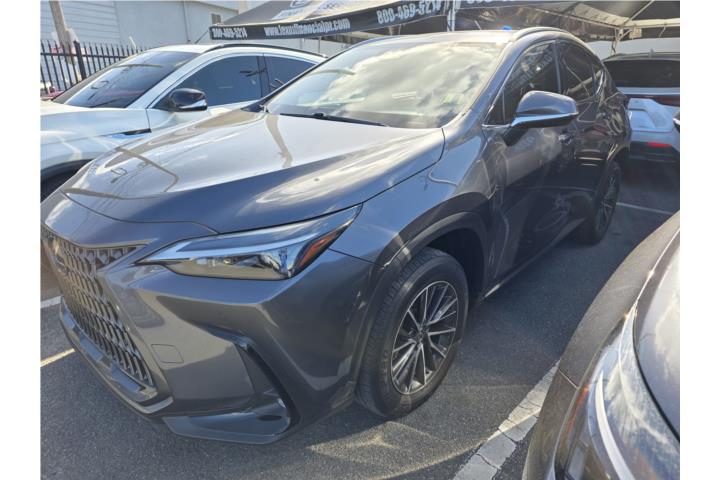 2025 Lexus NX 250