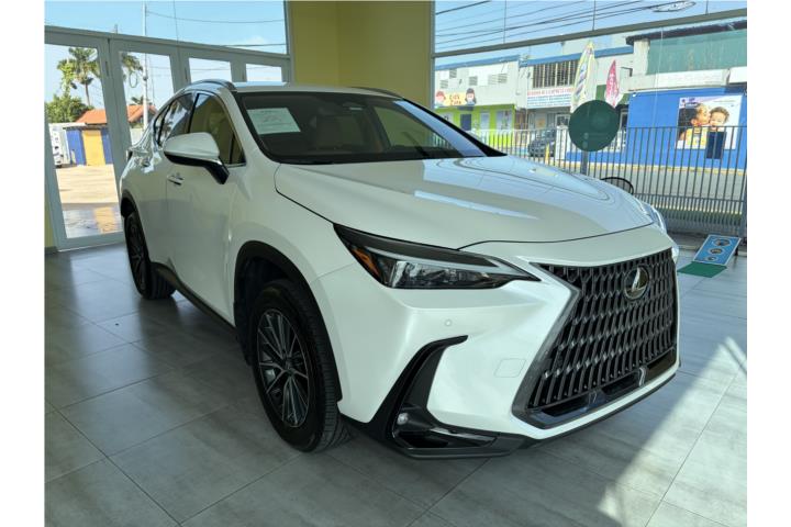 LEXUS NX 250 2025