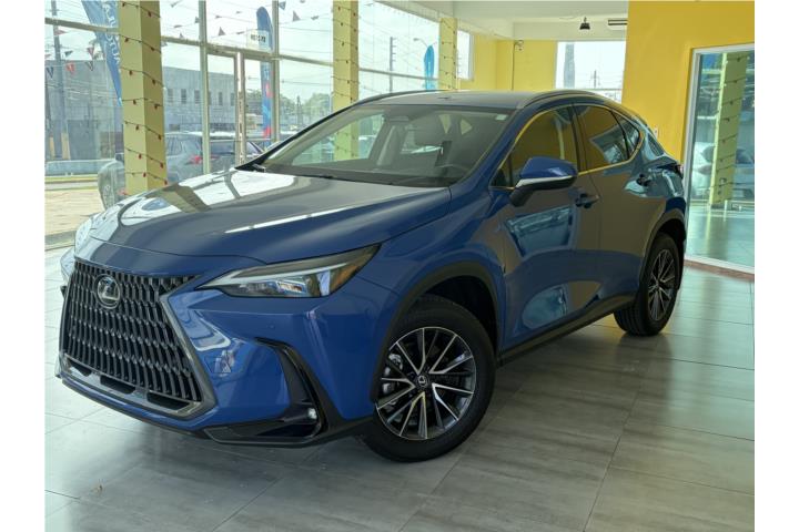 LEXUS NX 250 2025