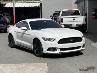Amarilys Torres Auto  Puerto Rico