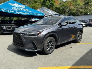 Lourdes Pacheco Autos Puerto Rico