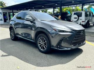 Angeliane Car Sales Consultant Puerto Rico