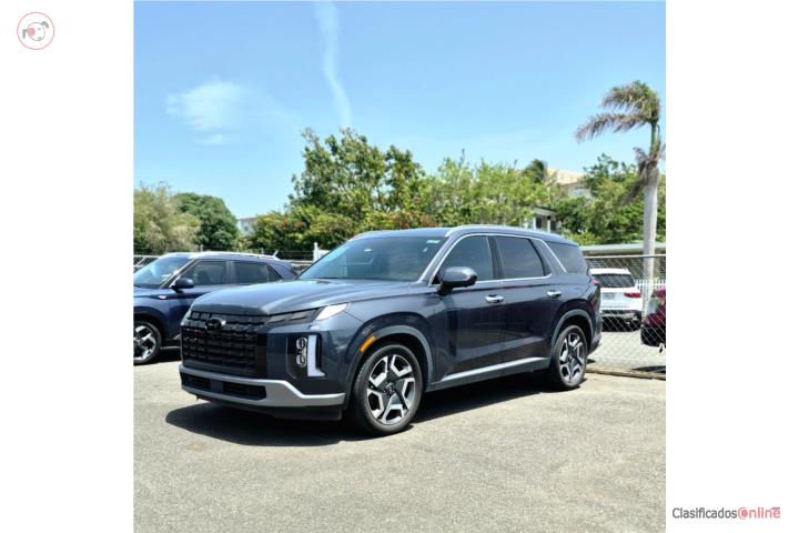 Palisade Limited 2024