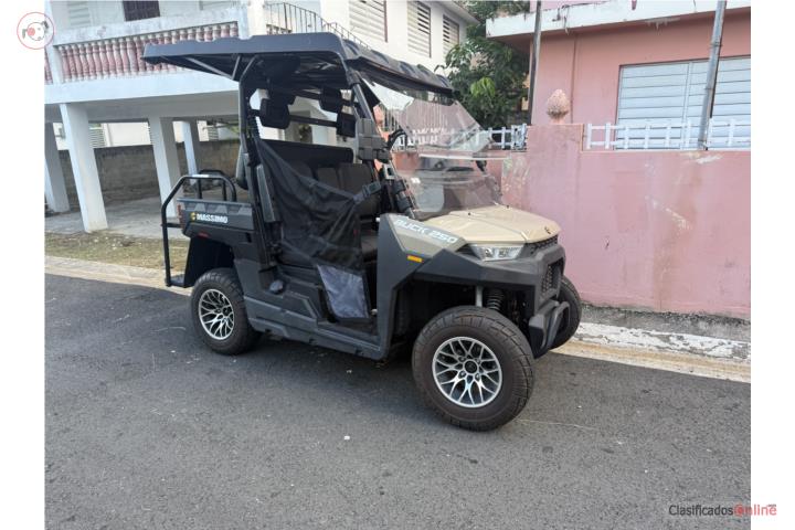 Carrito golf massimo
